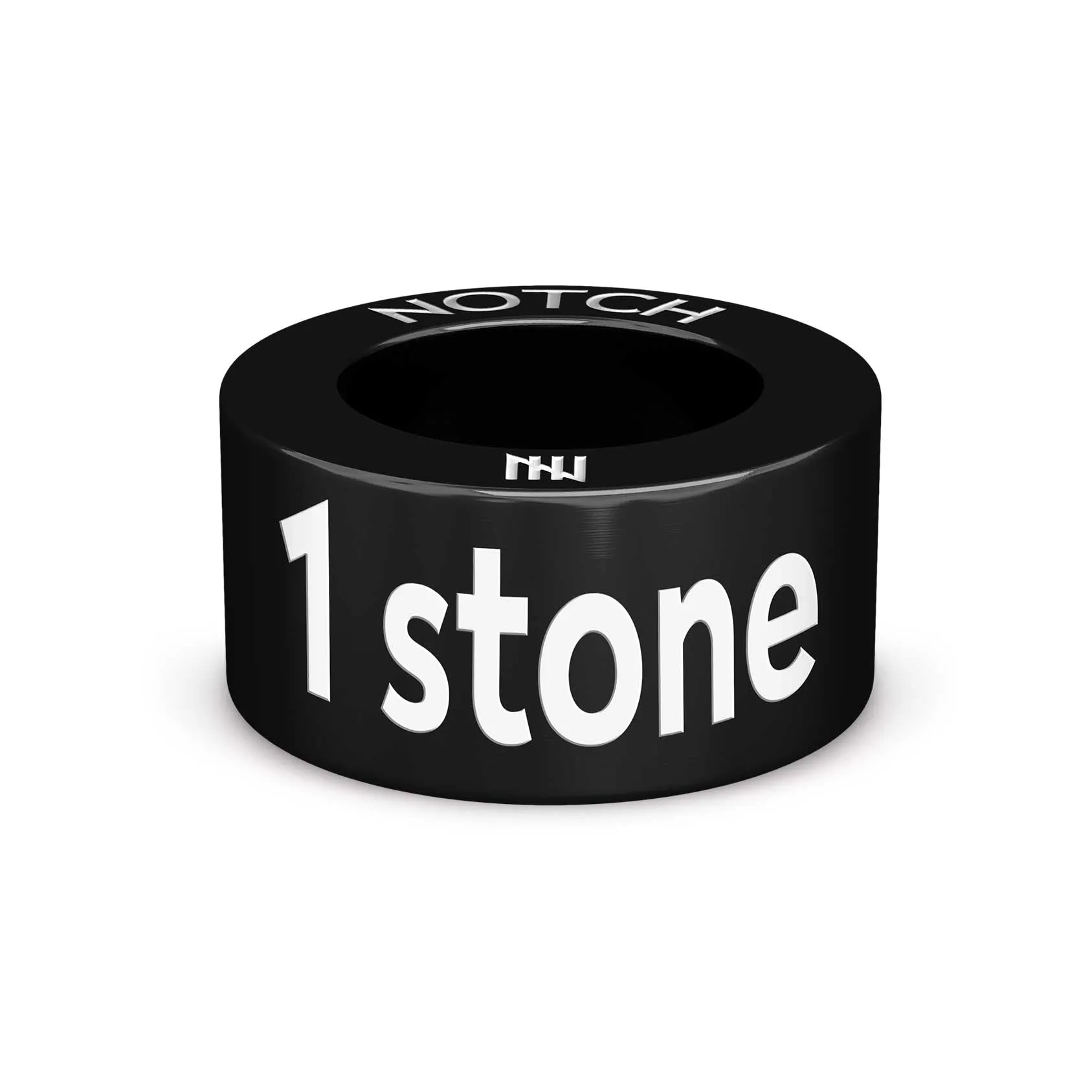 1 stone NOTCH Charm
