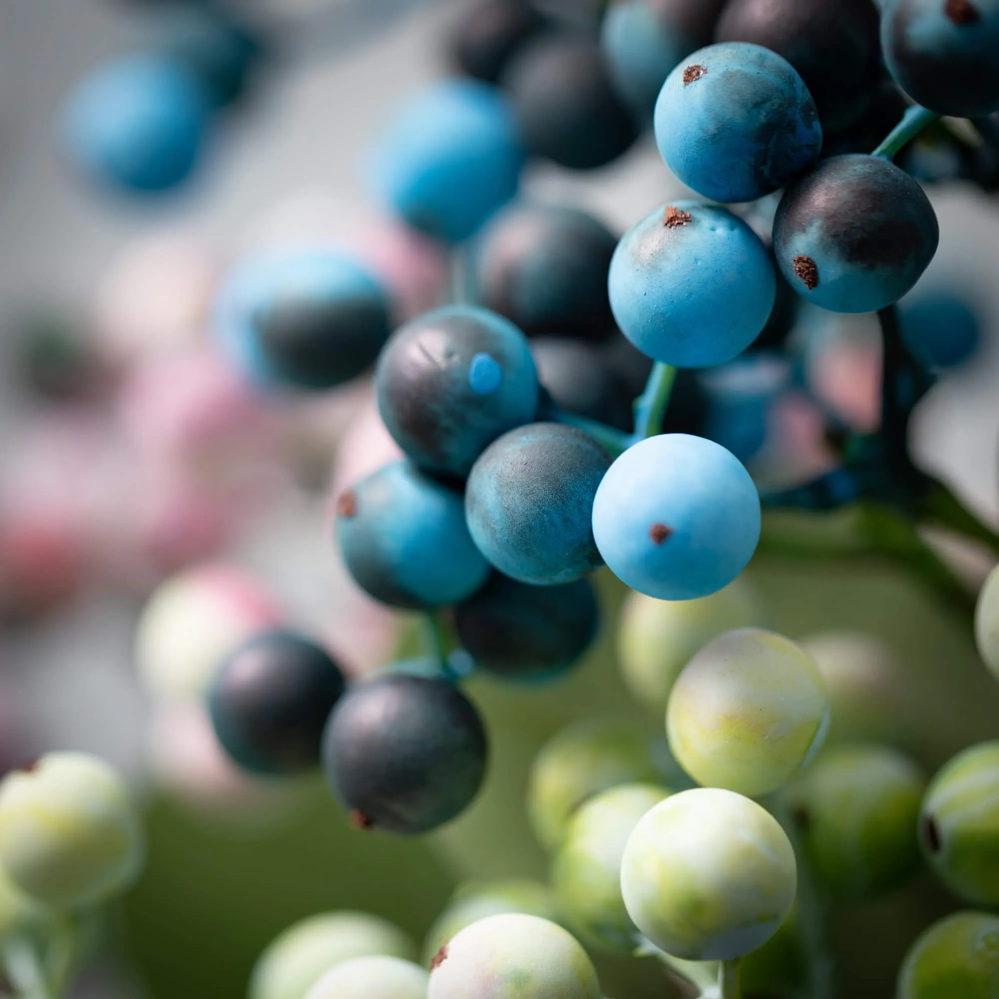 25"H Sullivans Dusk-Colored Berry Stem Set of 3, Multicolored