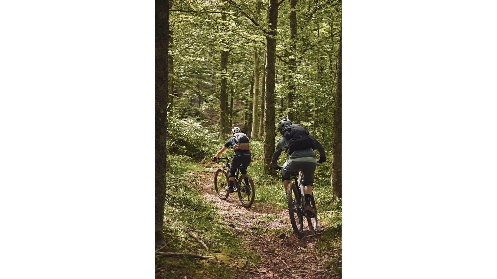 Abus MoDrop