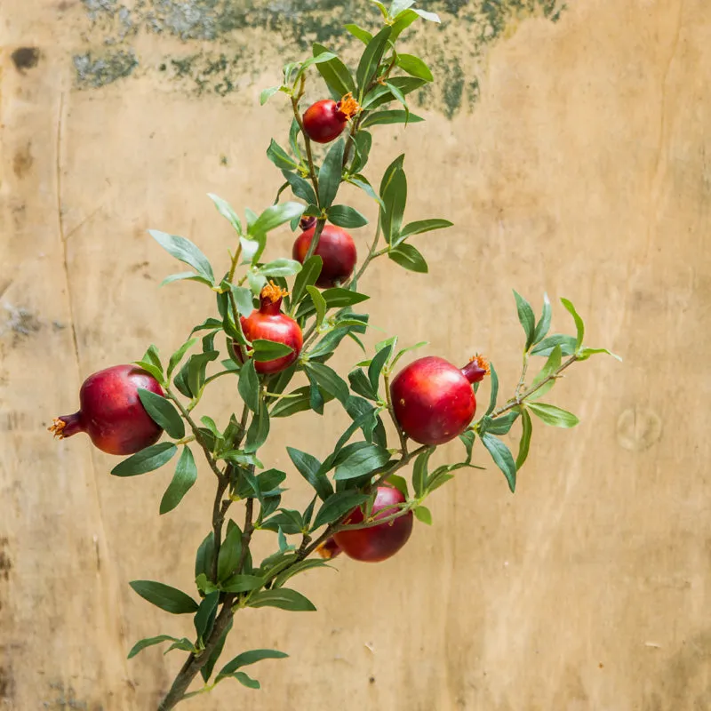 Artificial Pomegranate Fruit Plant