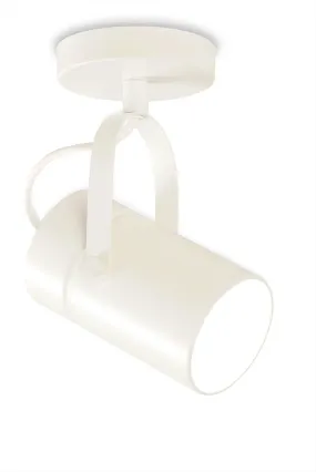 Aruba 1Lt Small/Large Single Spotlight E27 - White/Silver