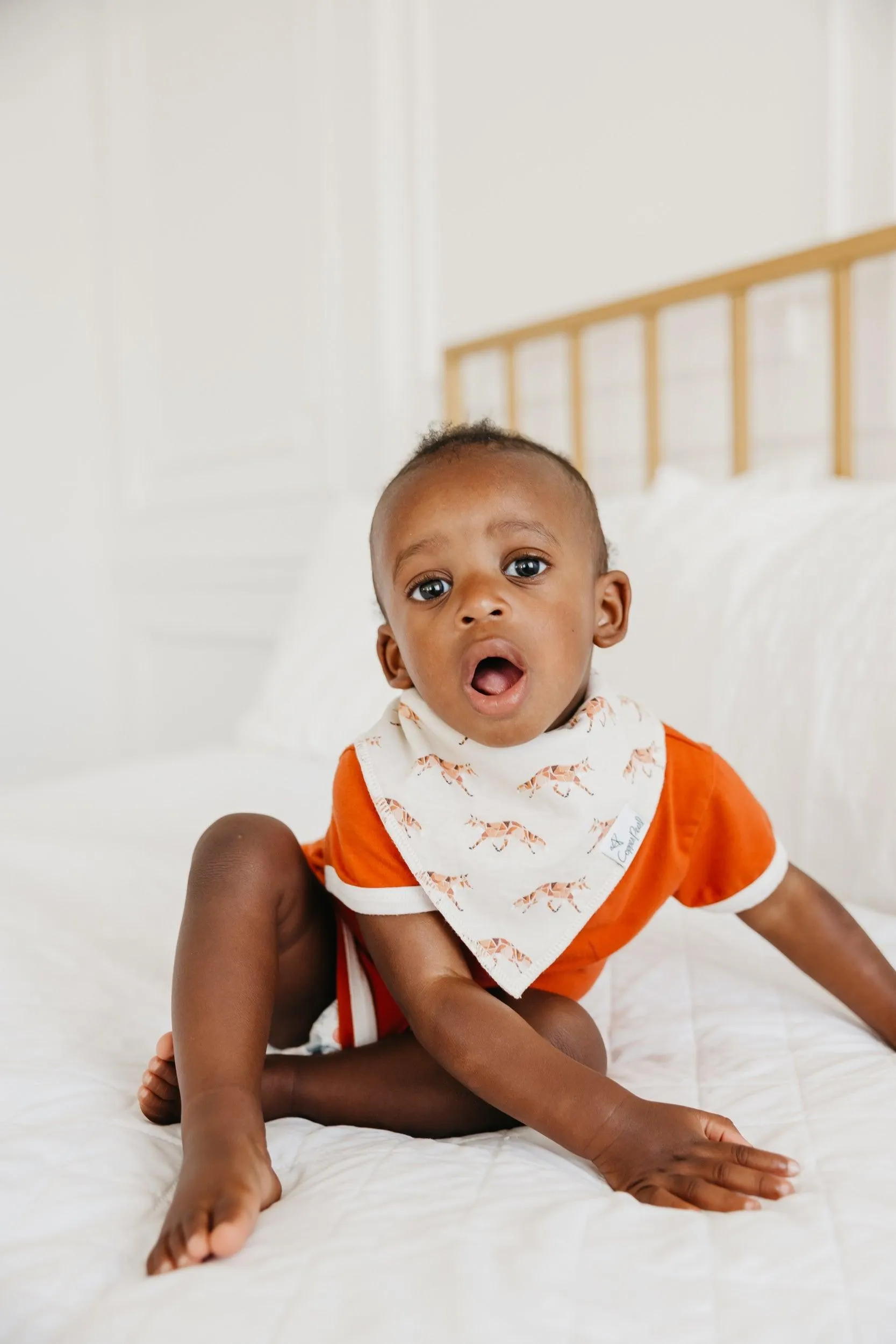 Baby Bandana Bibs - Swift