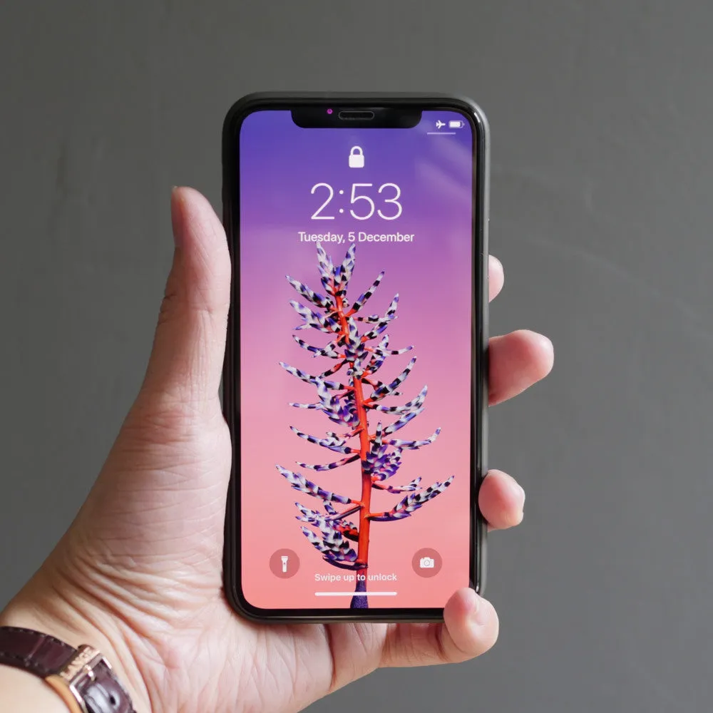 Bare Pane - for iPhone 11