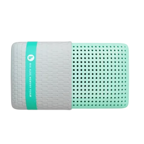 Blu Sleep Bio Aloe Vera Pillow | Cool, Cozy & Antibacterial
