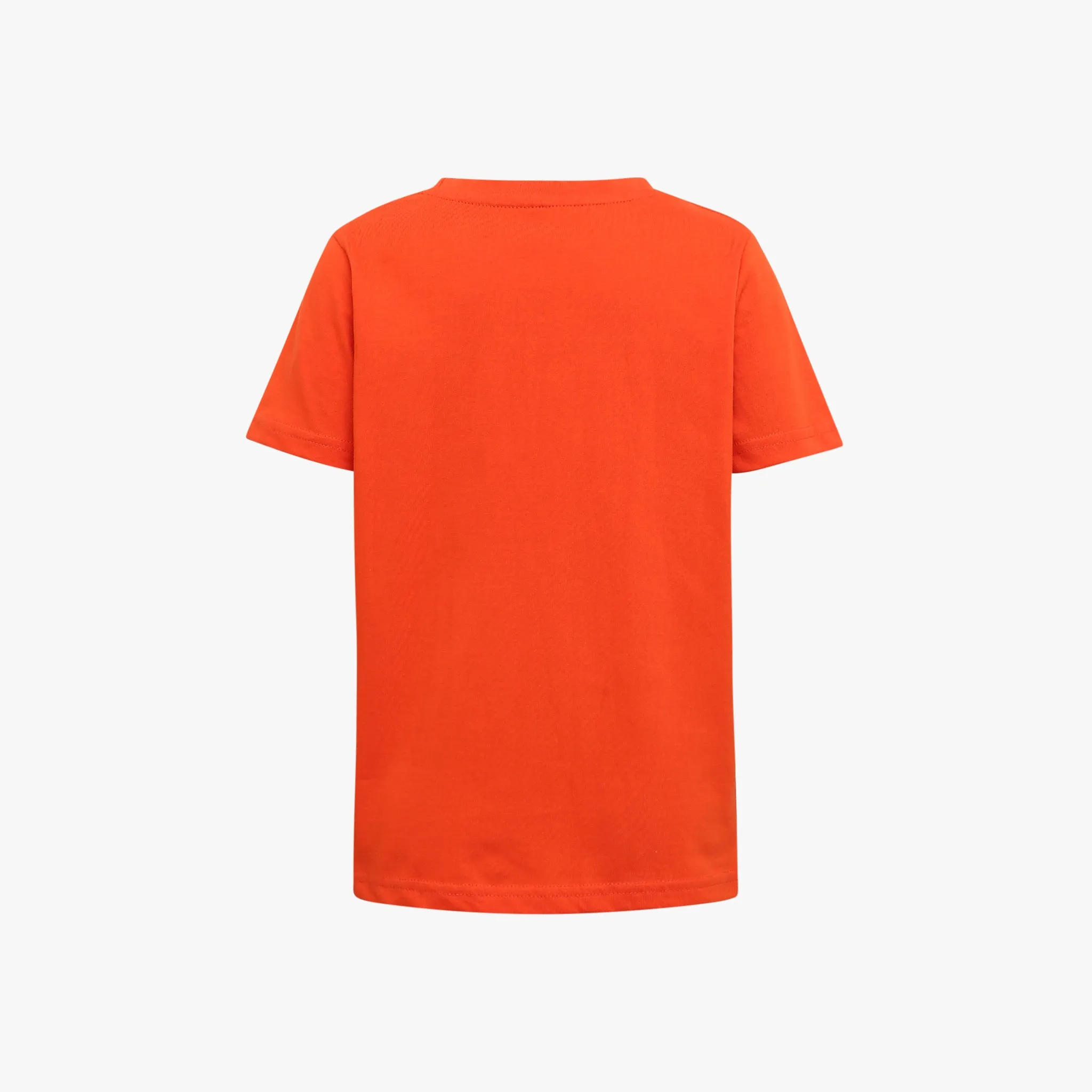 Boy's Regular Fit Graphic T-Shirt