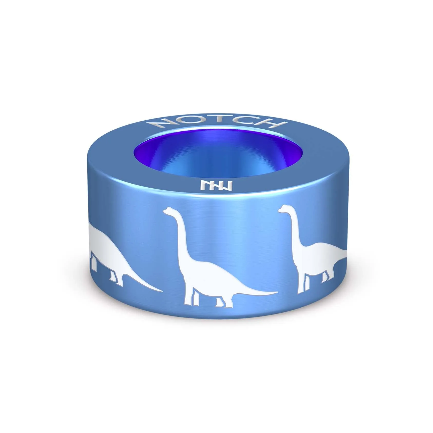 Brachiosaurus 1 NOTCH Charm