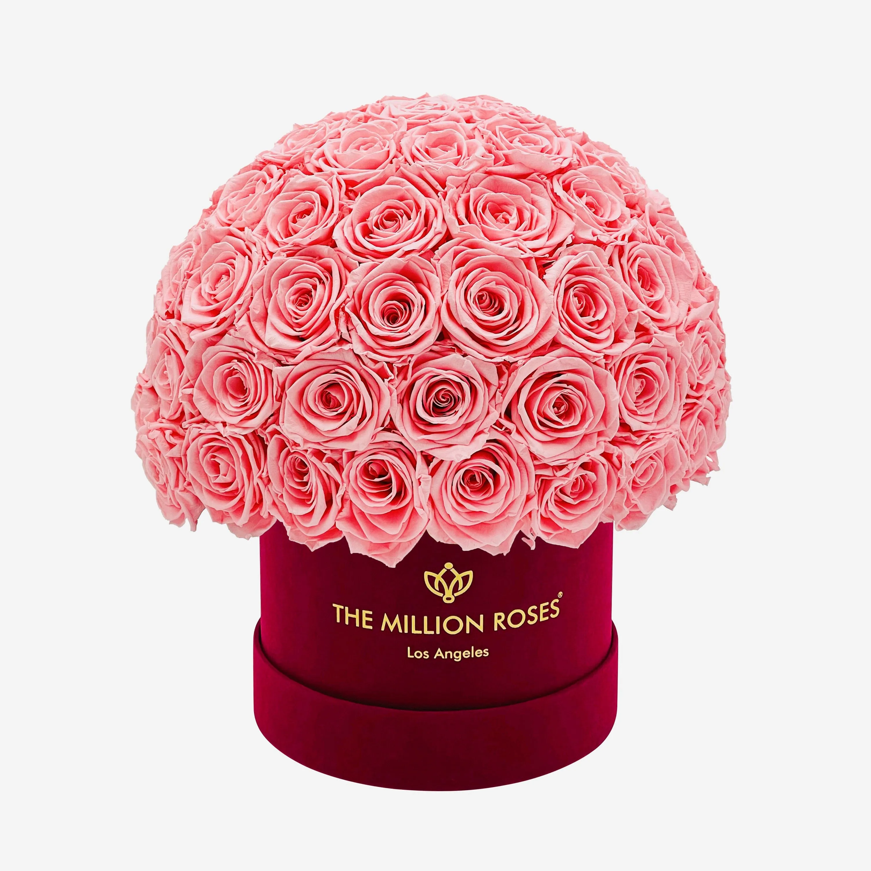 Classic Bordeaux Suede Superdome Box | Light Pink Roses
