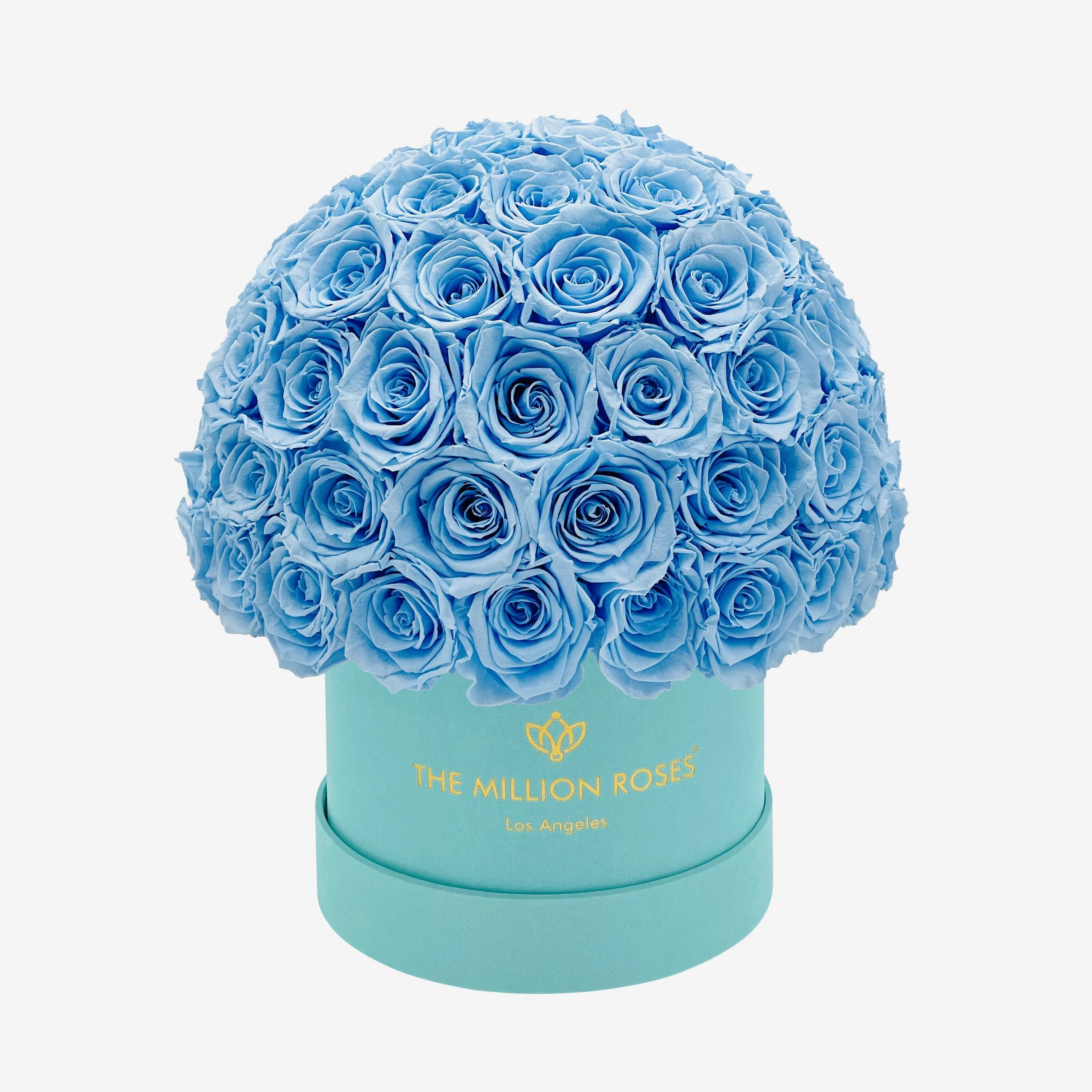 Classic Dark Green Suede Superdome Box | Light Blue Roses