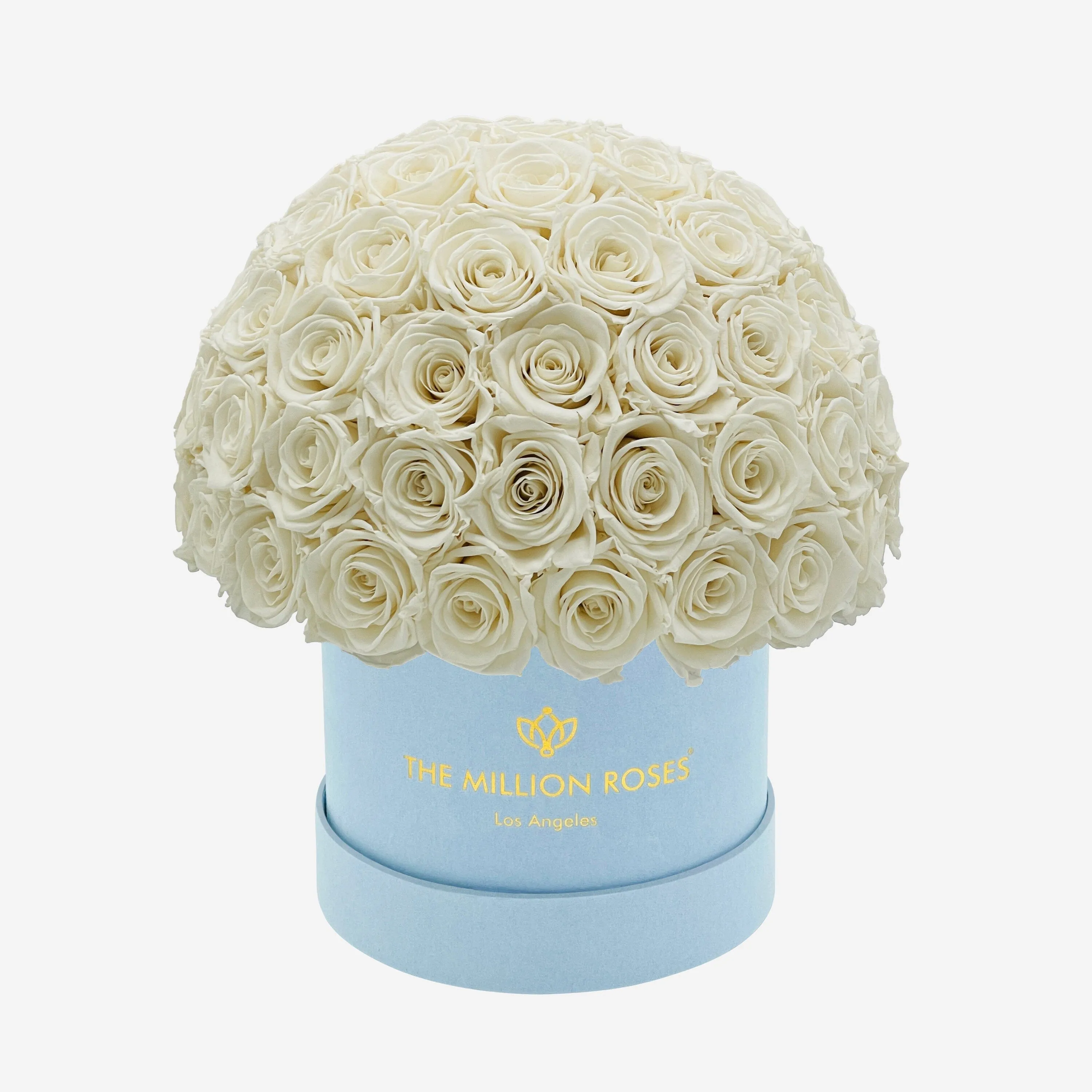 Classic Light Blue Suede Superdome Box | White Roses