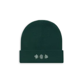 Foliage Beanie - Pine