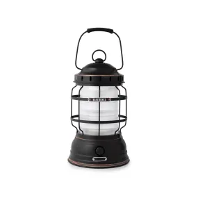 Forest Lantern in Antique Bronze
