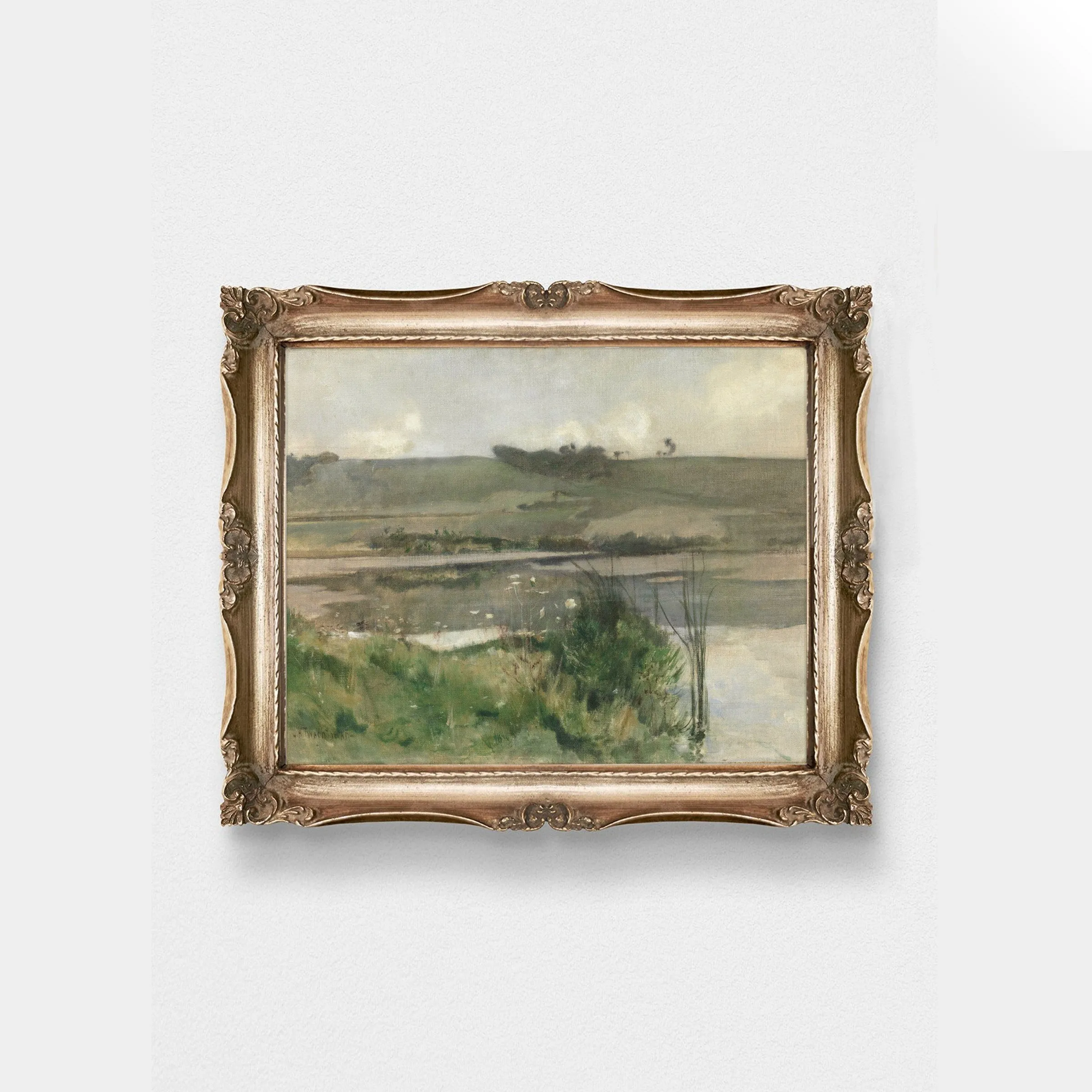 Landscape Marsh