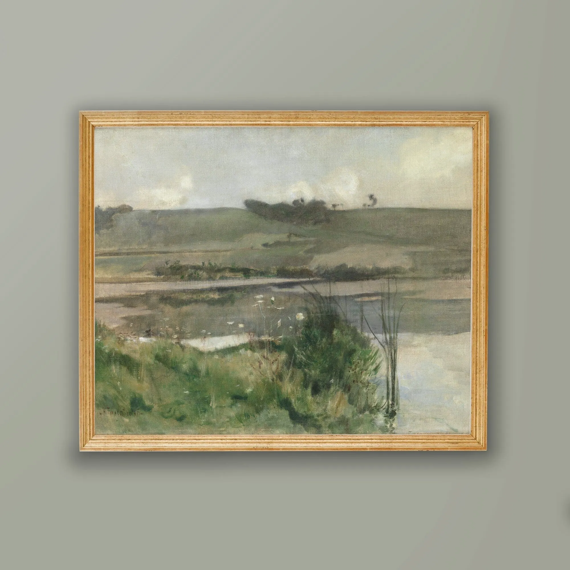 Landscape Marsh