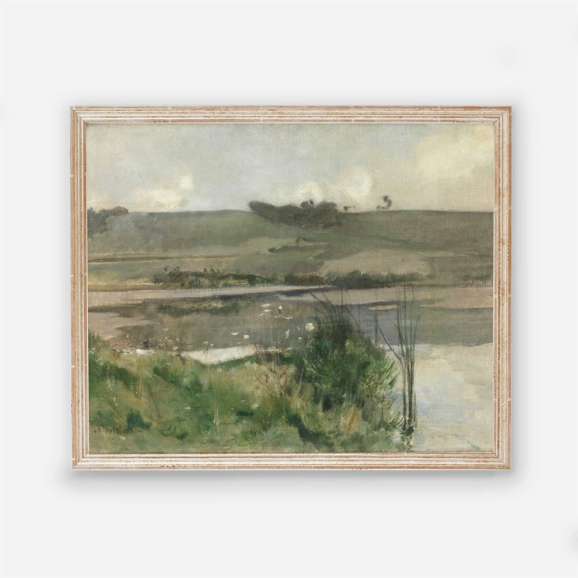 Landscape Marsh