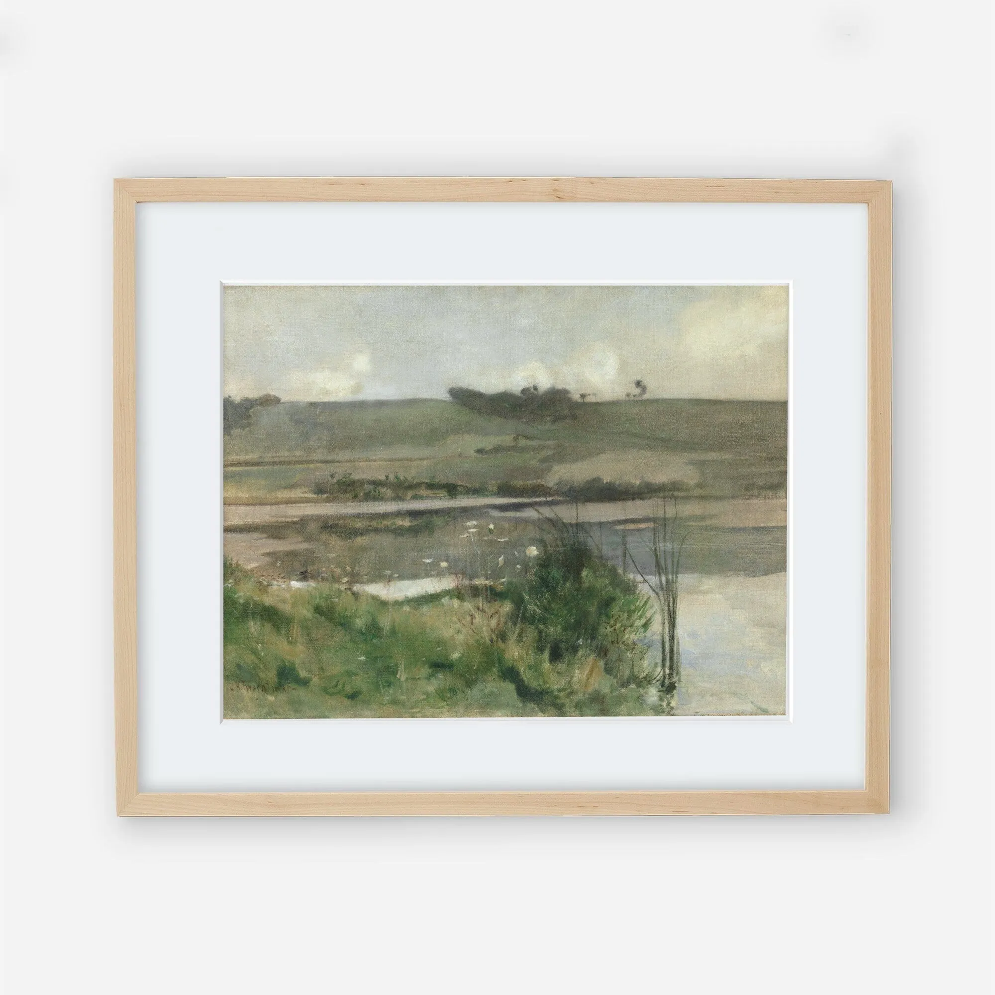 Landscape Marsh
