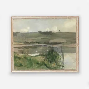 Landscape Marsh