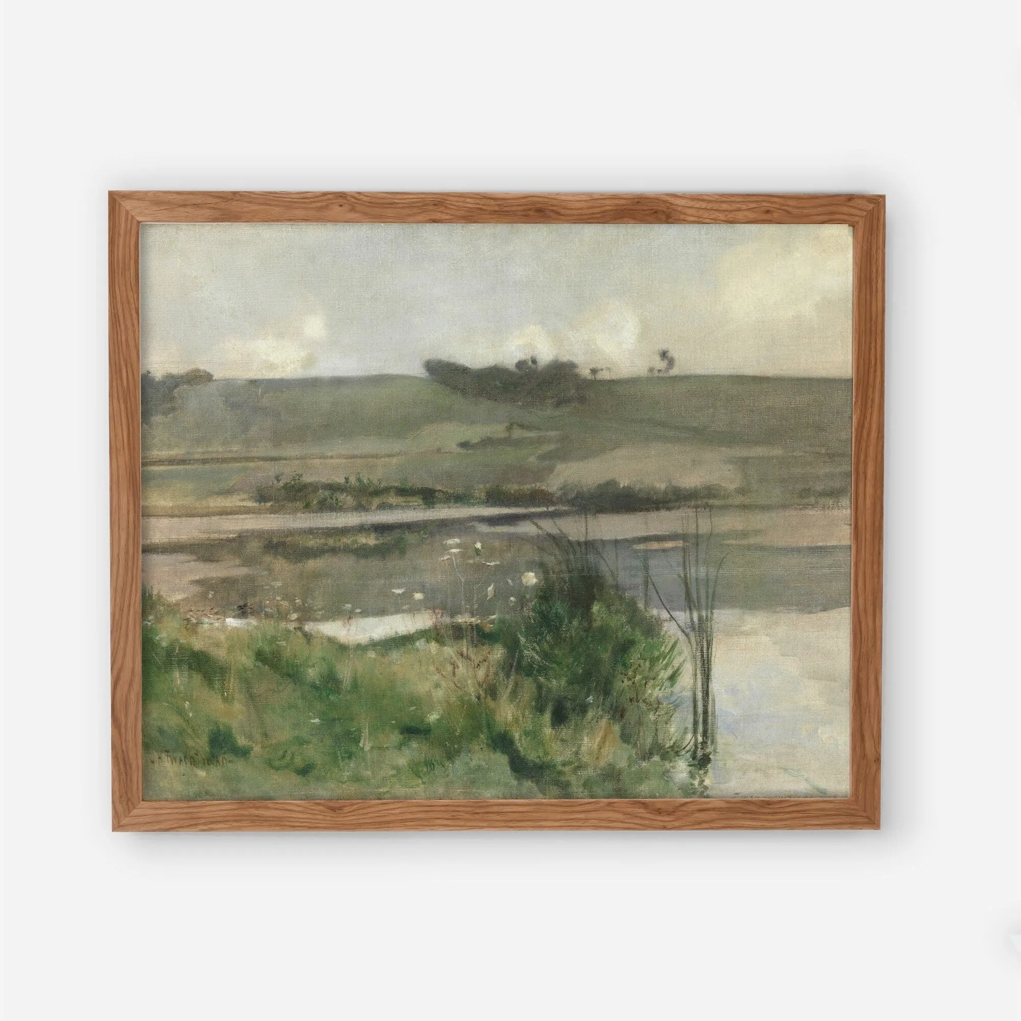 Landscape Marsh